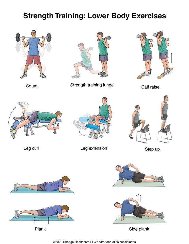 Strength Training: Lower Body Exercises: Illustration