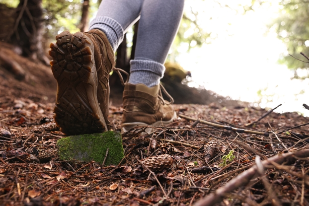 Perils of Bipedalism: Common Foot Issues and Treatment