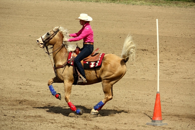 Tough Enough to Wear Pink Rodeo