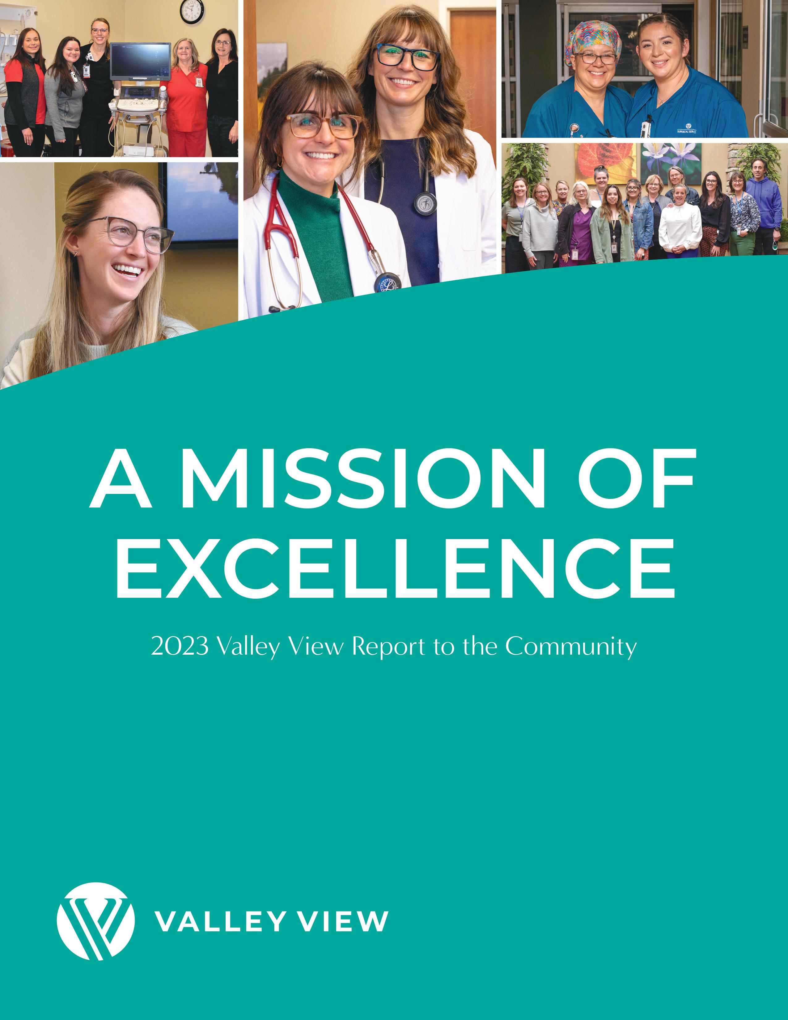 VV annual report 2023