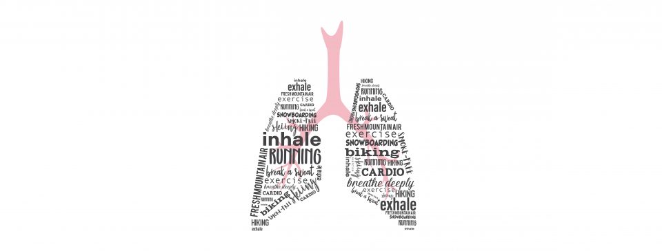 Lungs illustration with words